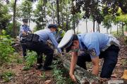 全警动员！上海细化措施应对台风