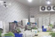 前三季度乡村建设稳妥推进 农村改革持续深化