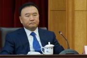 辽宁省公安厅原厅长王大伟被逮捕 搞假结婚欺骗组织 其两名前任均落马