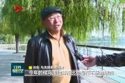 候鸟迁徙过境江苏 好生态引来众鸟栖息