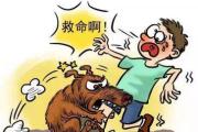 萌宠伤人引发纠纷，责任由谁承担? 依法依规加强管理