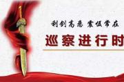 巡察组在行动 | 走过场的验收
