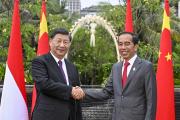 习近平同印尼总统佐科举行会谈