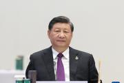 习近平在亚太经合组织第29次领导人非正式会议发表讲话