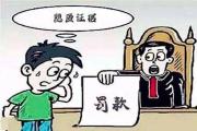 胆子真大！调解过程中，竟有人偷拿对方关键证据……