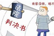 一些罪犯抱有“坐牢不赔钱”想法怎么办？ 海南法院深化执行改革让财产刑判决不再是“法律白条”