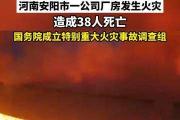 国务院成立河南安阳市凯信达商贸有限公司“11·21”特别重大火灾事故调查组