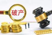 助推破产审判再上新台阶