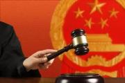 2022年全国法院十大商事案件