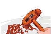安徽省安庆市人大常委会原党组副书记、副主任王华被开除党籍和公职