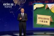 广西桂林 打击文物犯罪 守护文化根脉