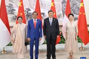 习近平会见印度尼西亚总统佐科