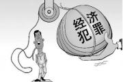全国公安经侦部门“夏季行动”战果丰硕 发起全国性跨区域集群战役600余起