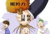 全国公安机关常态化开展扫黑除恶斗争推进会召开 