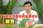 重庆市委巡视组原组长纪涛被开除党籍