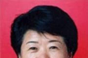 广东省委第八巡视组原副组长陈少菲被开除党籍