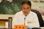 十三届全国人大华侨委员会副主任委员罗保铭接受中央纪委国家监委纪律审查和监察调查