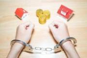 辽宁检察机关依法对赵贺决定逮捕