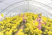 画里有话丨绘就乡村振兴新图景