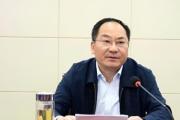 安徽省安庆市人民政府原党组成员、副市长陆应平被开除党籍和公职