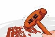 山东比对数据“揪”出问题线索 精准防治招投标领域腐败