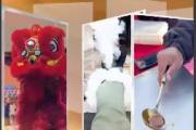 亿缕阳光丨赶大集 迎新春