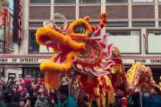 团圆年｜家国同此春 跟着总书记赓续中华文脉