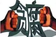 河南:出台工作指引 监督保障重大国家战略落地见效