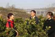 学习贯彻二十届中央纪委四次全会精神 | 始终保持反腐败永远在路上的坚韧执着