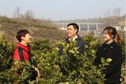 学习贯彻二十届中央纪委四次全会精神 | 始终保持反腐败永远在路上的坚韧执着