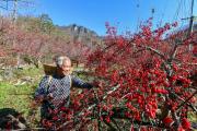 河南中医药，真“中”！