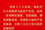 健全全面从严治党体系，总书记阐明要旨