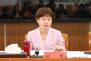 贵州省贵阳市政府副市长刘岚接受审查调查