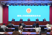 对重大恶性案件挂牌督办 最高检：从重从严从快惩治“一杀多人”【两会看政法】