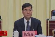 最高检依法对杨发森决定逮捕