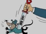 广西来宾市兴宾区人大常委会党组成员、副主任黄焯接受纪律审查和监察调查
