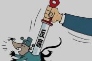 湖南省送变电工程有限公司原党委书记、执行董事曾新跃接受审查调查