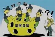实践故事丨守牢村集体“家底子”