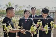 天津滨海新区：走访企业问需