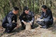 湖北宜昌猇亭区：开展现场勘查取证等工作
