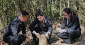 湖北宜昌猇亭区：开展现场勘查取证等工作