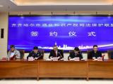 以司法之力浇灌知识产权保护“法治沃土”