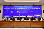 以司法之力浇灌知识产权保护“法治沃土”
