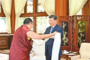 习近平接受班禅额尔德尼·确吉杰布拜见
