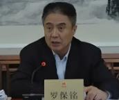 检察机关依法对罗保铭涉嫌受贿案提起公诉