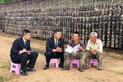 三进”菌地，“黑木耳法庭”呵护乡村梦想”