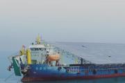 走近大国工程 | 向海逐日追光  探访我国首个桩基固定式海上光伏项目