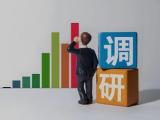 谌贻琴在湖南调研时强调 狠抓重点群体就业 持续提振文旅体消费