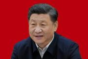 “中国持续成为促进全球发展的引擎”