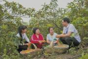 深度关注丨深化乡村振兴资金使用监管突出问题治理 每一分钱都用在刀刃上